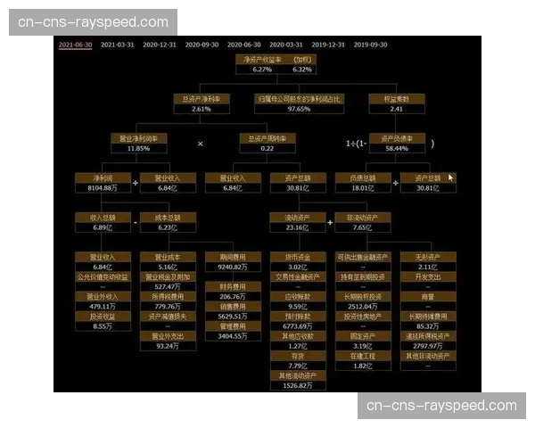 战术复盘：基于比赛官方数据流，第三方平台生成的高阶分析报告